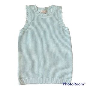 Womens LOFT Petite Light Blue Knitted Sweater Vest
